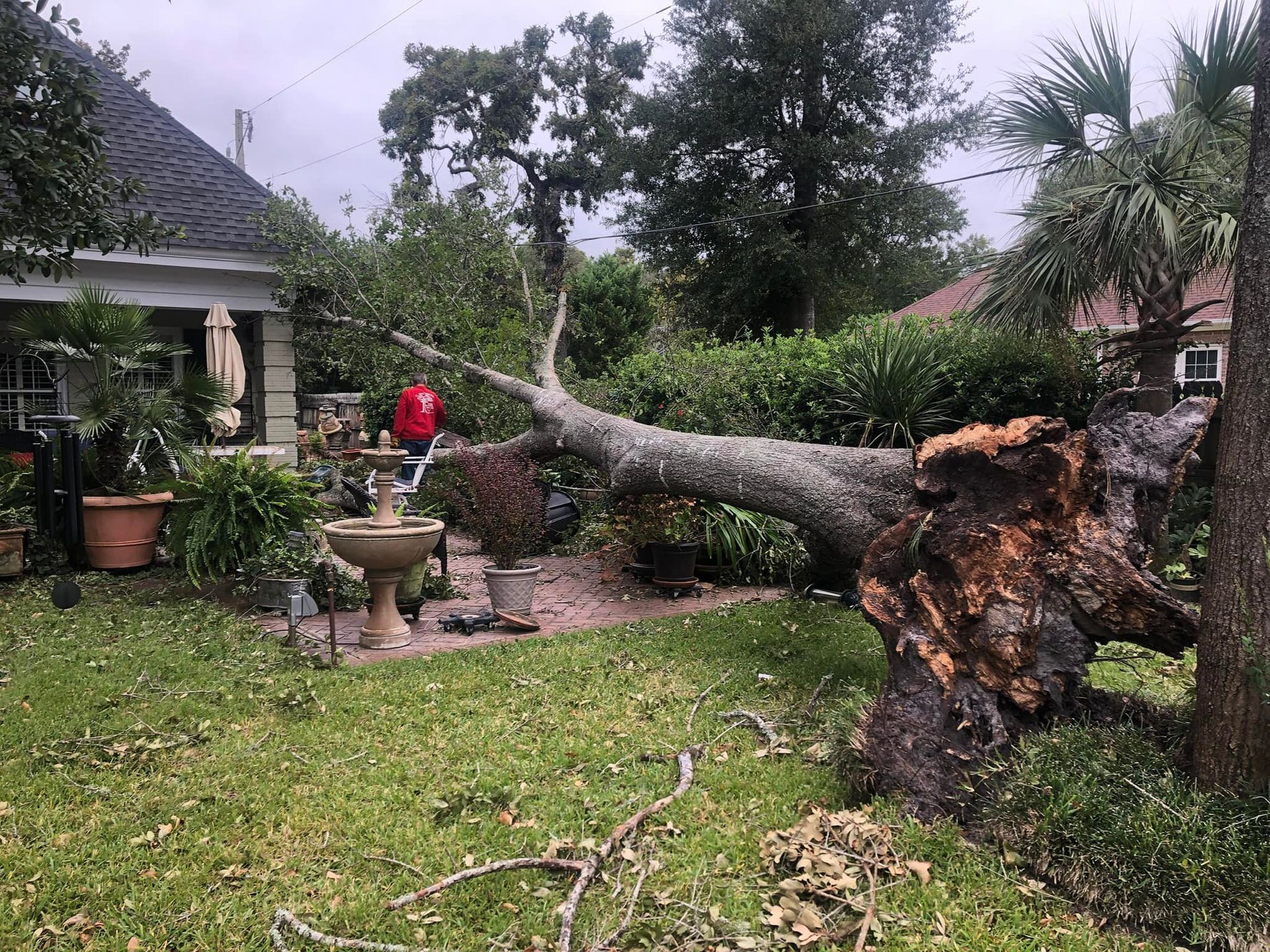 The Importance of Removing Dead or Dangerous Trees Before Winter in Myrtle Beach