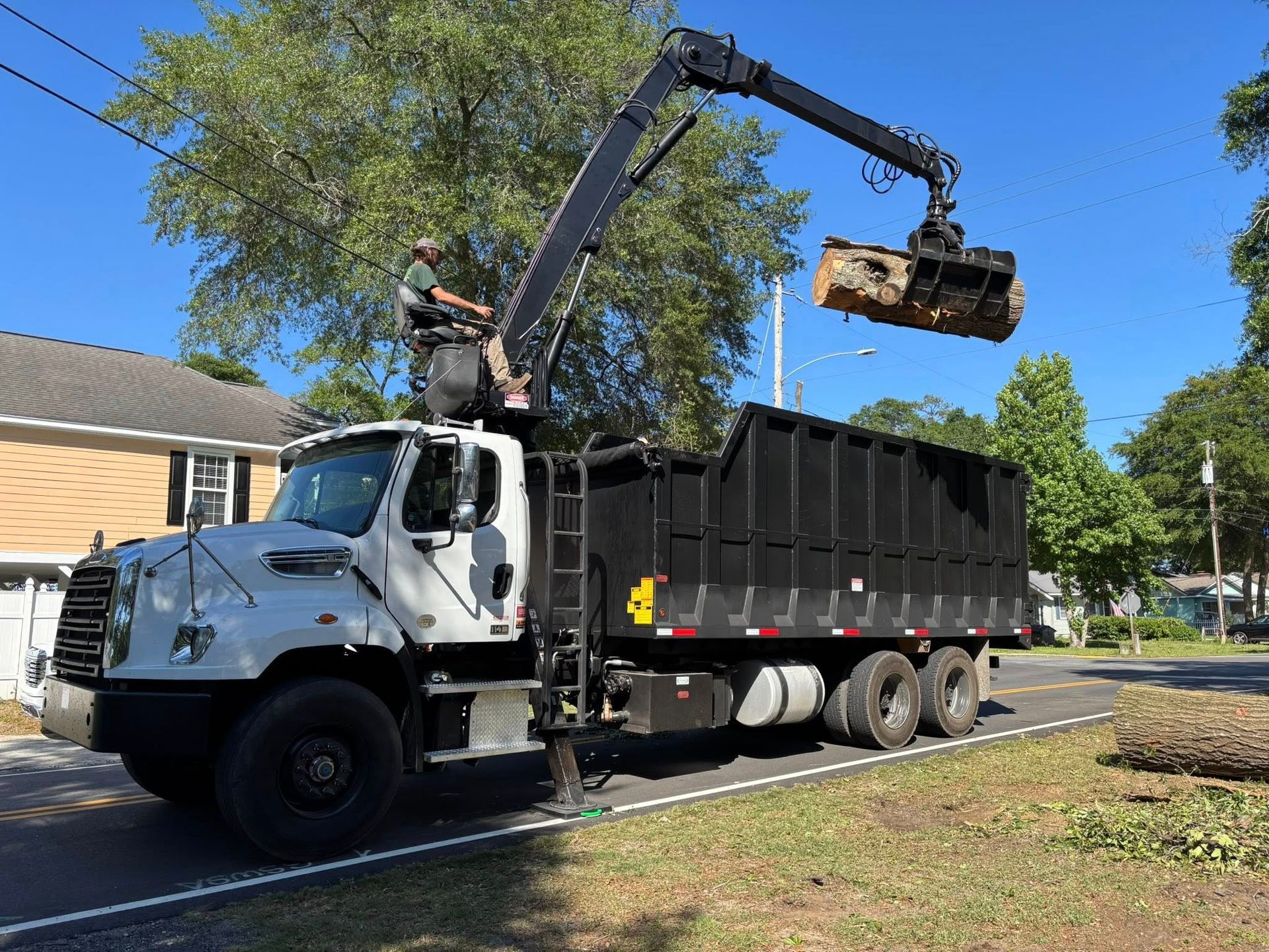 Caring for Trees Along the Grand Strand