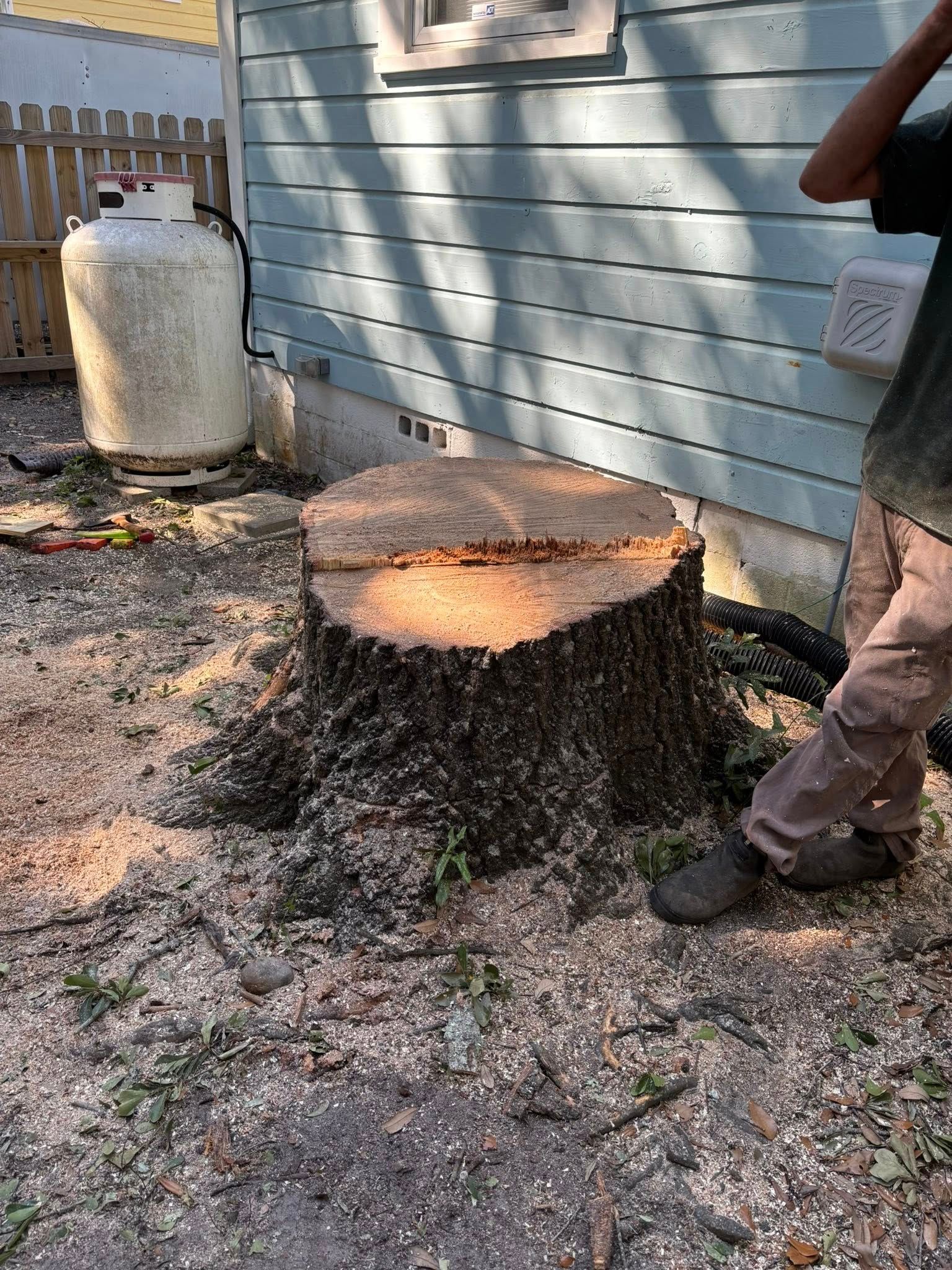 Stump Grinding