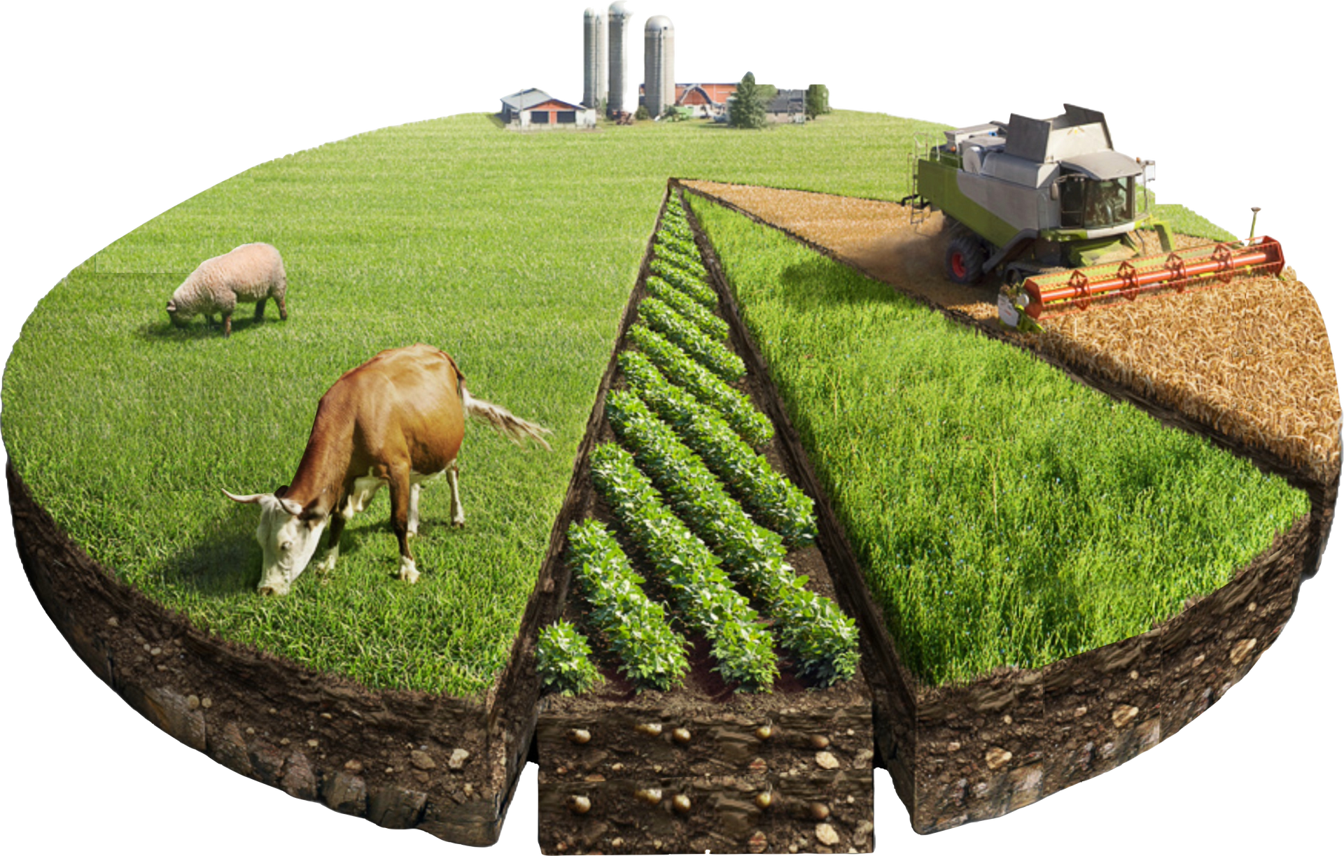 Agro Cooperativa