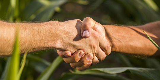 Descubra o significado do cooperativismo e como uma cooperativa promove o desenvolvimento econômico.