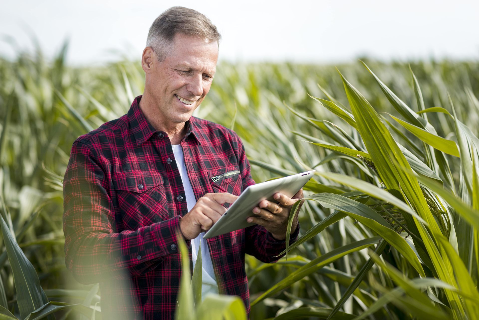 Cooperativa para produtor rural