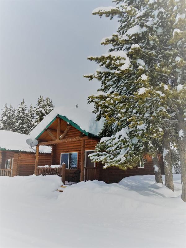 Two cabins covered in thick snow