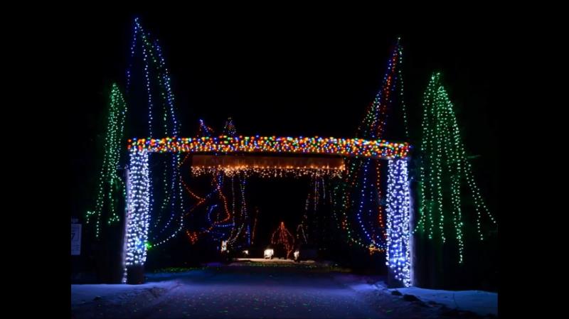 Archway decorated by Christmas lights