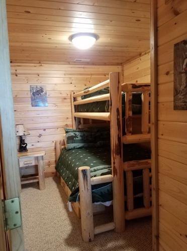 Bunk beds with green covers