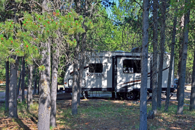 Trailer parked in a campground