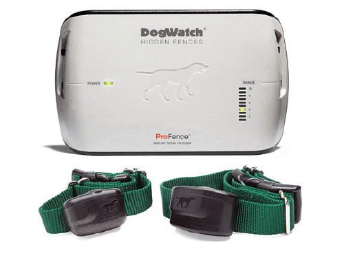 A dog watch device with two collars attached to it
