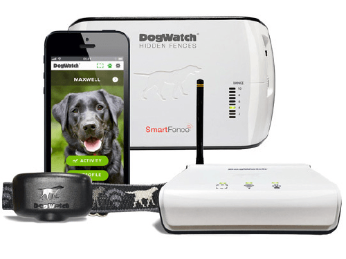 A dog watch system with a cell phone , collar , and receiver.