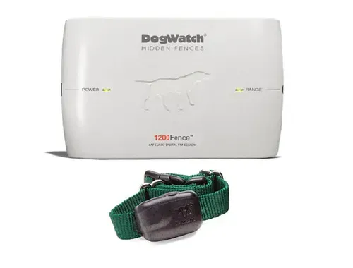A dog watch hidden fence with a green collar
