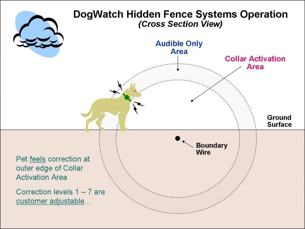 DogWatch cross section