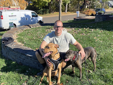 A man is sitting in the grass with two dogs.