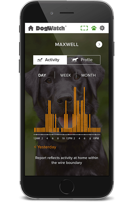 Smart Fence activity graphic