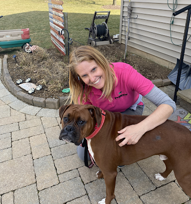 A woman in a pink shirt is kneeling down next to a brown boxer dog.