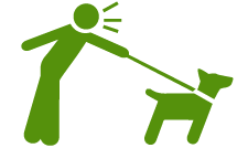 person walking a dog icon