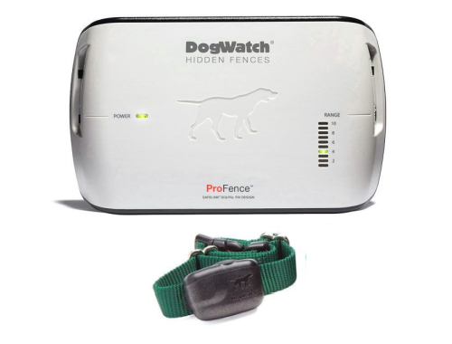 A dog watch hidden fence with a green collar