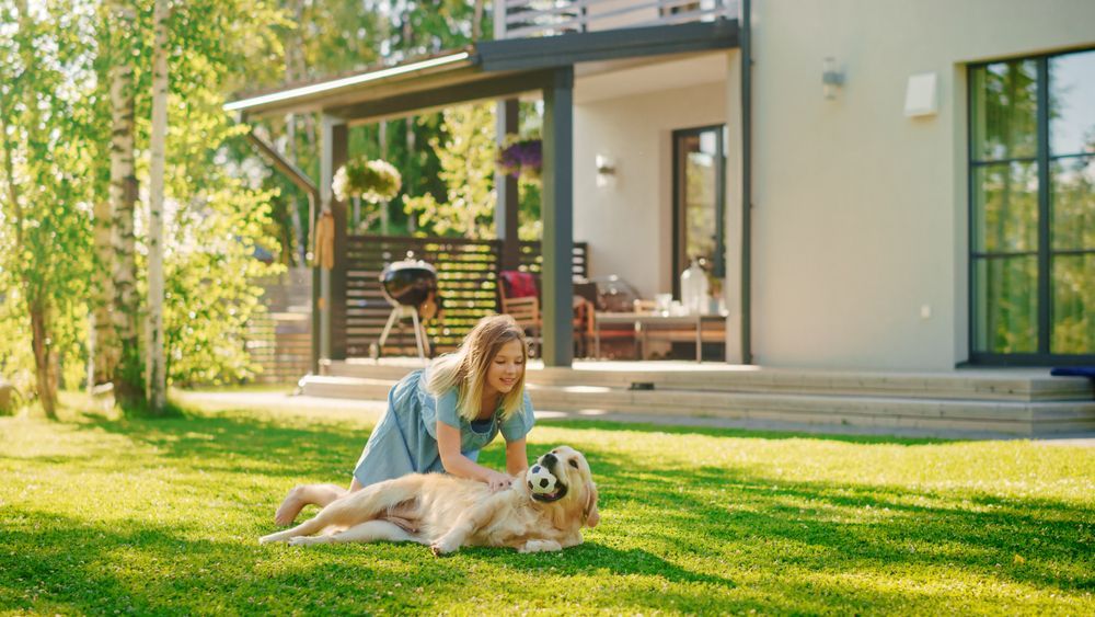 Hidden Fence for Your Dog's Safety