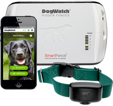 A dog watch hidden fence with a smart fence collar and a cell phone.