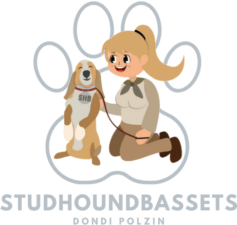 Stud Hound Bassets logo