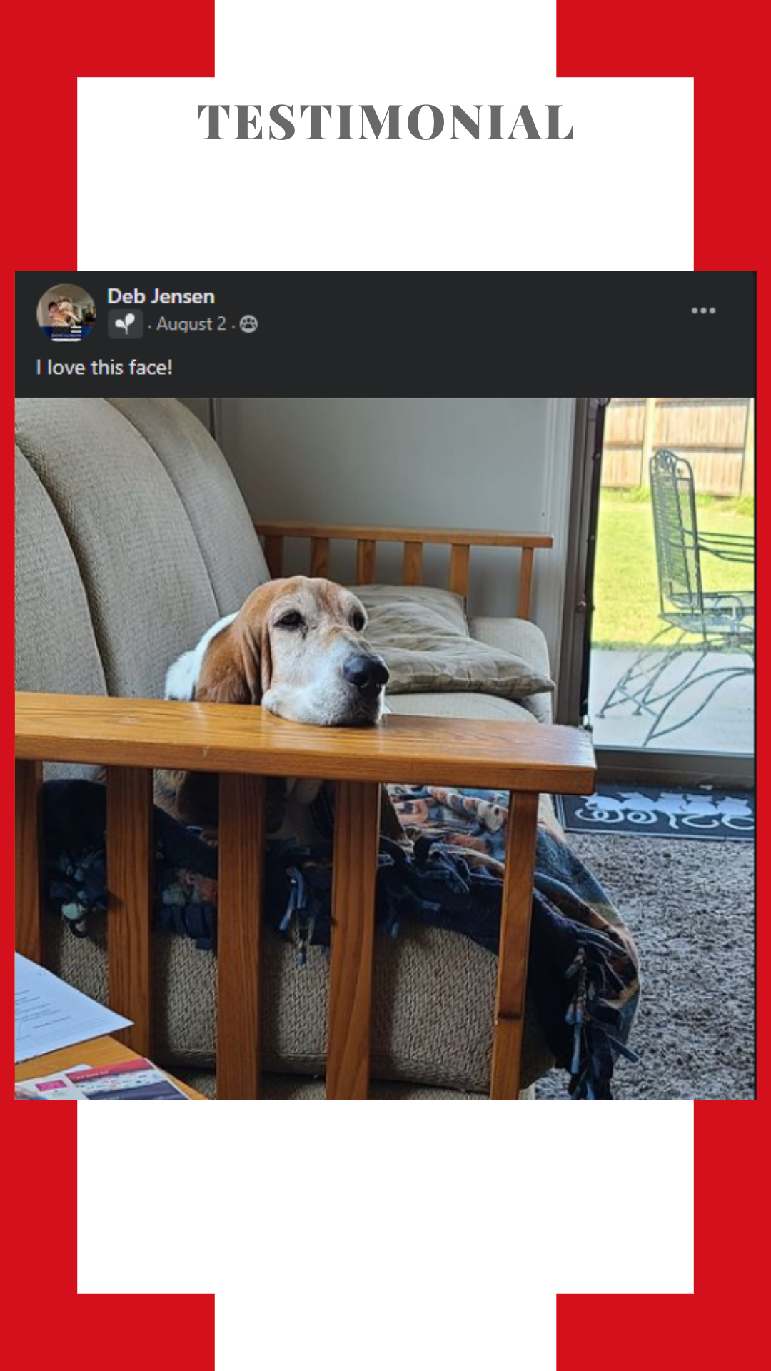 A dog is sitting on a wooden chair in a living room.