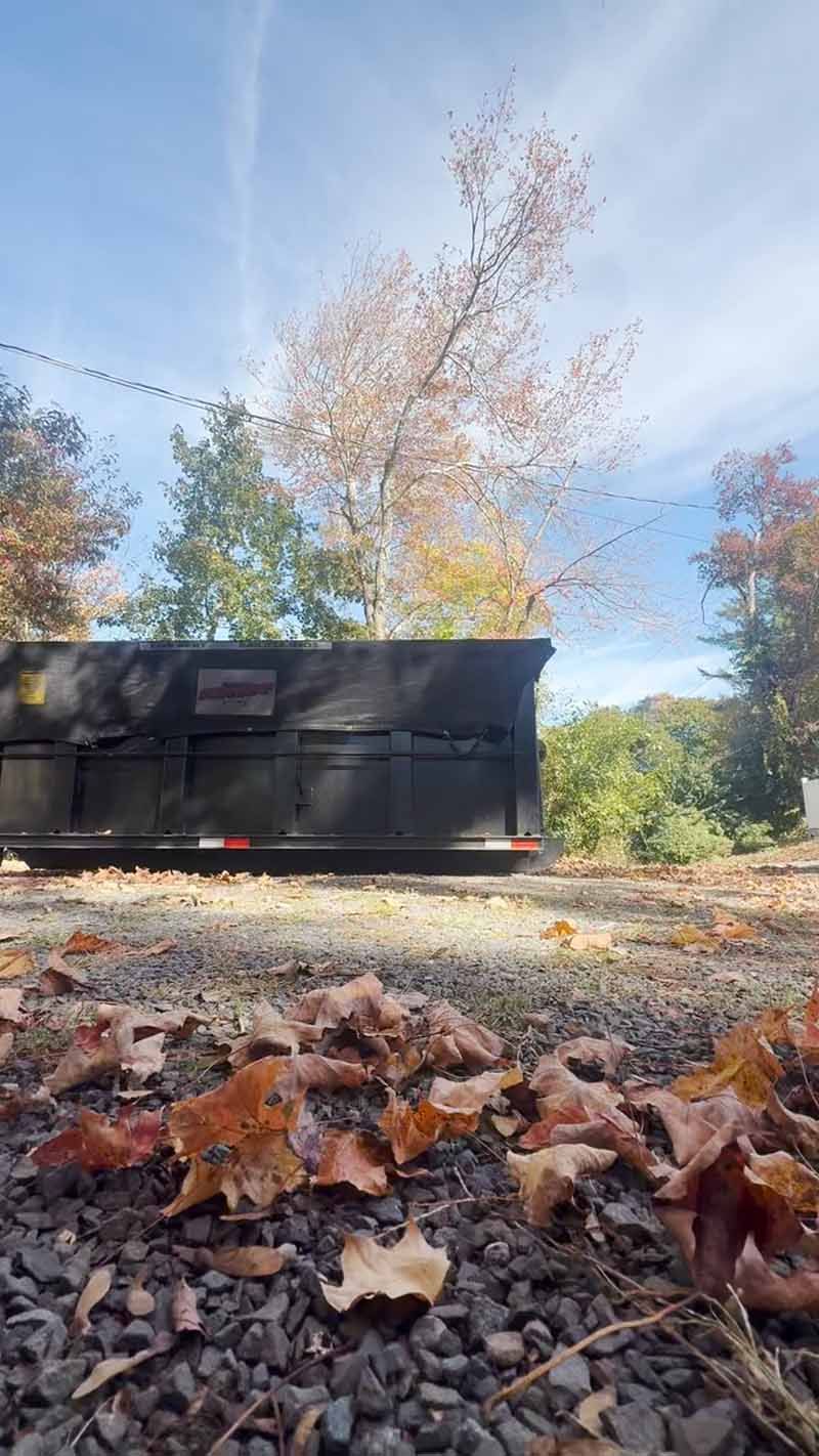 Black dumpster on gravel with autumn leaves and bare trees under a blue sky