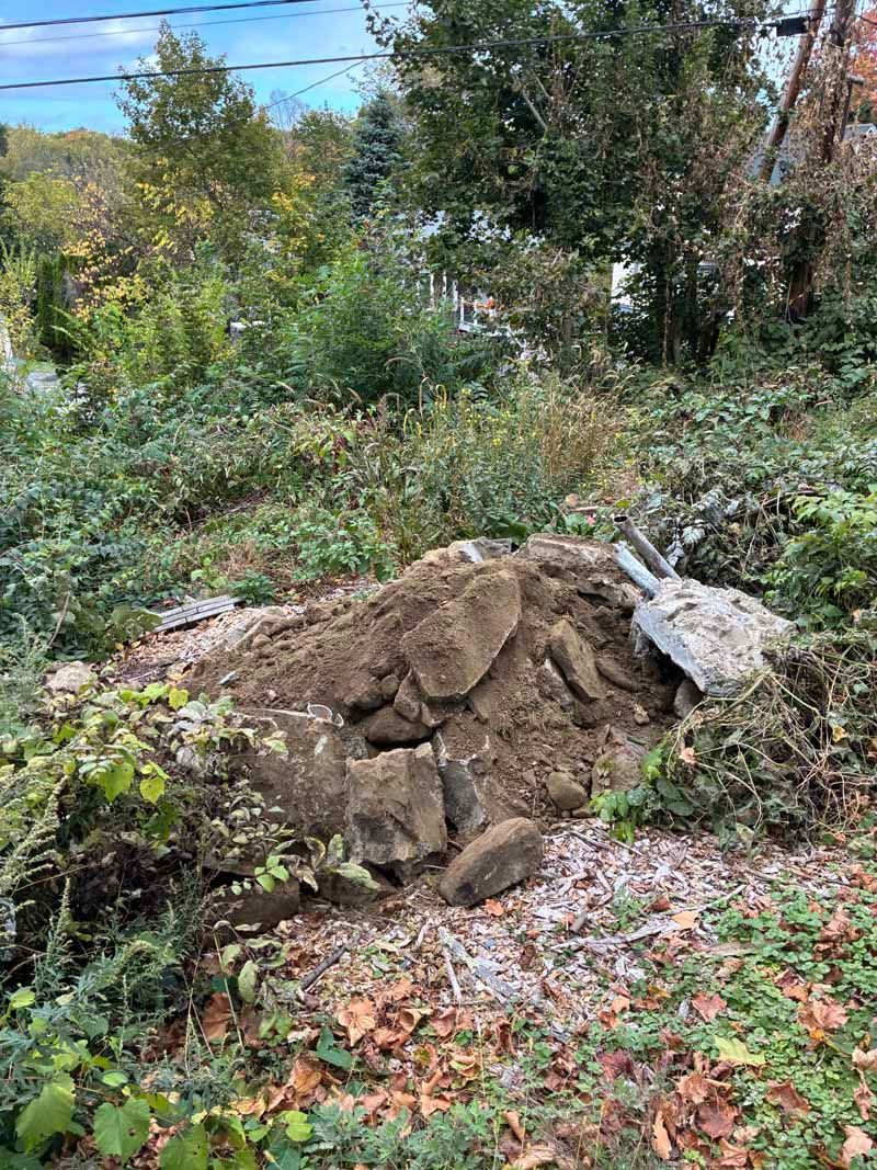 A dirt pile in an overgrown garden with scattered stones and green trees in the background