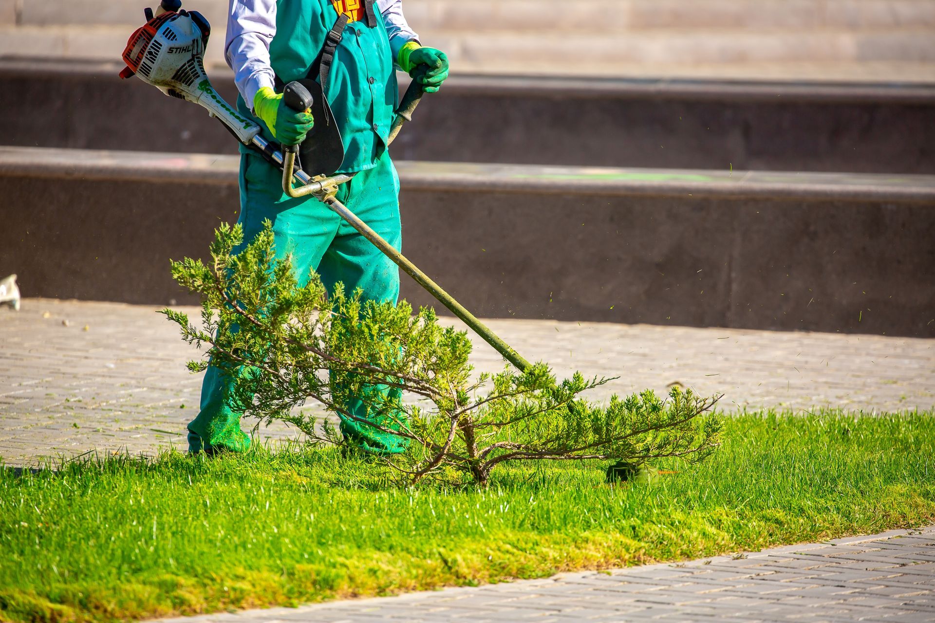 Worker using a gas-powered brush cutter trims a grassy roadside verge.