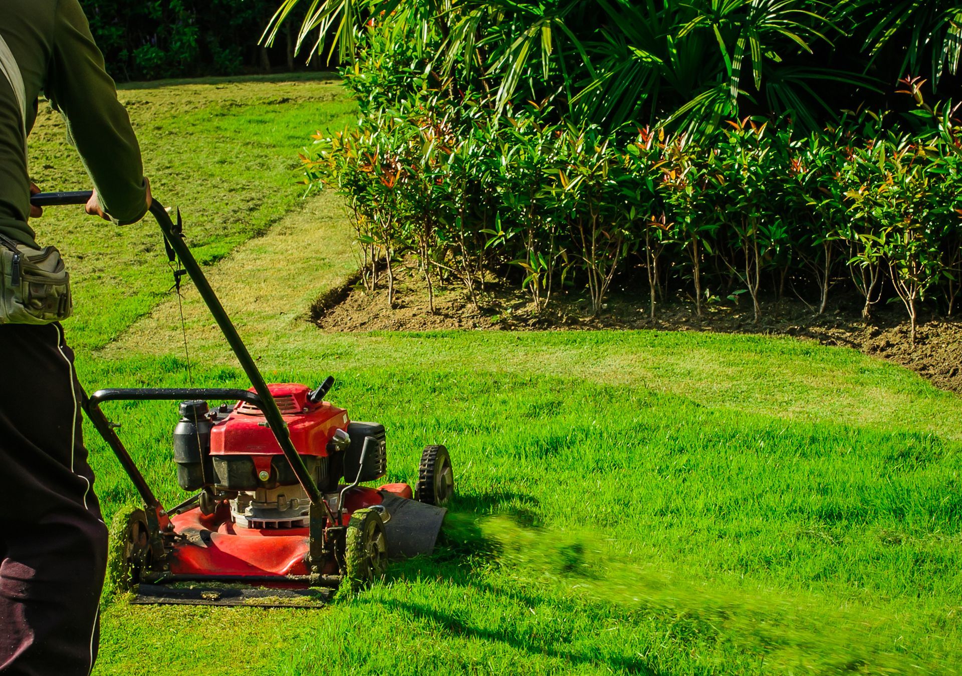 Person mowing a bright green lawn with a red push mower in a garden.
