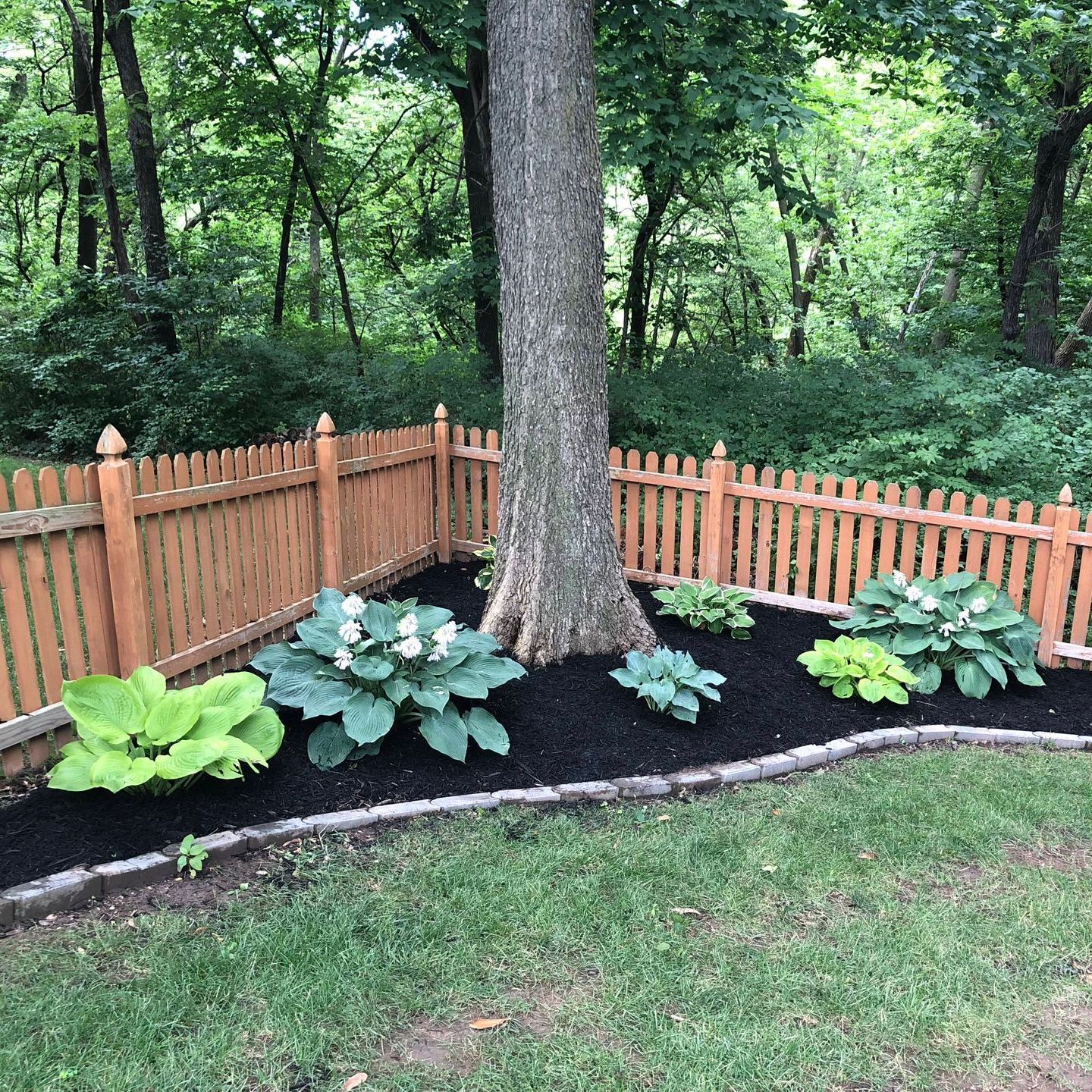 Freshly black mulched landscaping in kansas city missouri