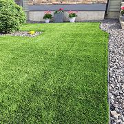 Lawn — Rancho Cucamonga, CA — Bill's Hydroseed Lawn — Rancho Cucamonga, CA — Bill's Hydroseed