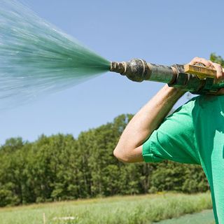 Hydroseeding a New Lawn — Rancho Cucamonga, CA — Bill's Hydroseed Hydroseeding a New Lawn — Rancho Cucamonga, CA — Bill's Hydroseed