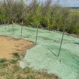 Hydroseeding Landscaping Project — Rancho Cucamonga, CA — Bill's Hydroseed Hydroseeding Landscaping Project — Rancho Cucamonga, CA — Bill's Hydroseed