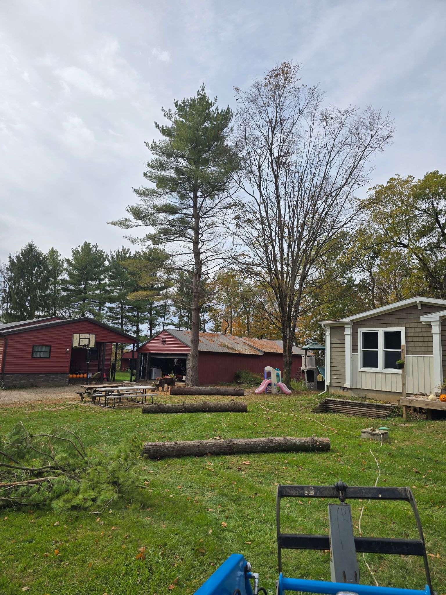 A grassy yard with fallen logs, houses, and trees under a cloudy sky.