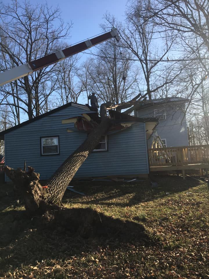 A large tree fallen on a blue house; a crane and worker are removing the tree.
