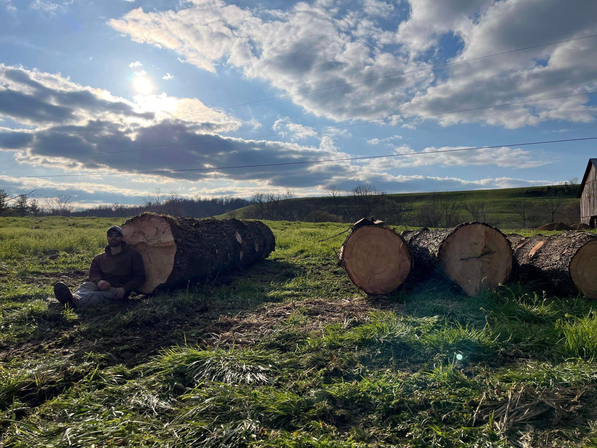 Logs cut in field; person seated near a log, sun shining through clouds.