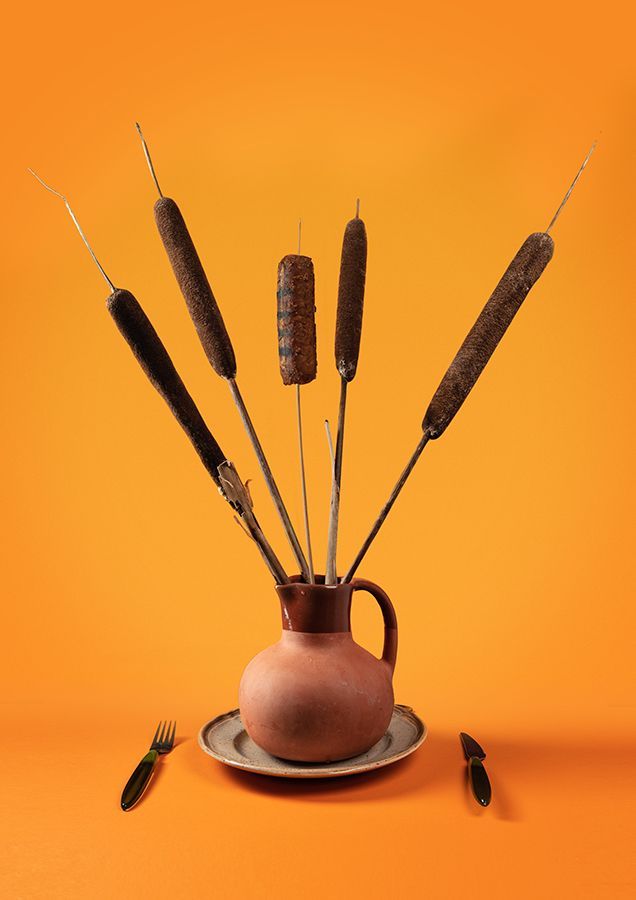Bruine lisdodden in een vaas op een bord, met een vork en een mes op een oranje achtergrond.