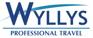 wyllys professional travel