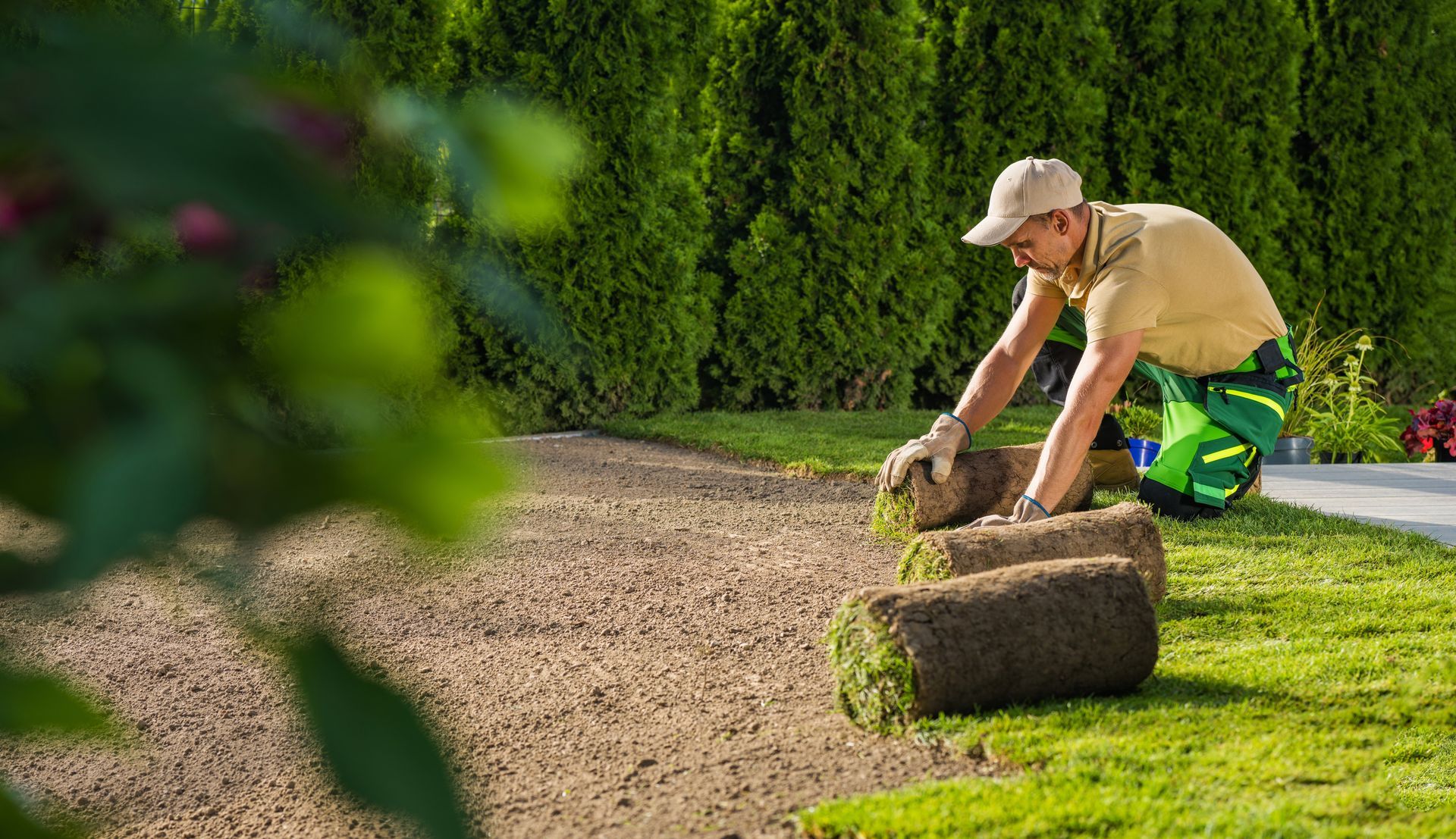 Gardener rolling sod onto a lawn beside a hedge, with green tools nearby