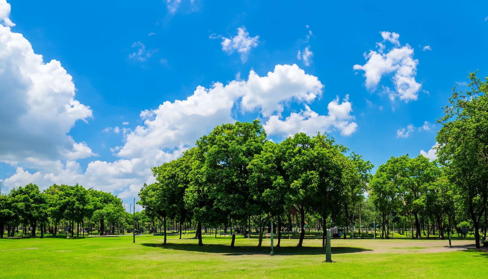 Sunny green park with trees under a bright blue sky and scattered white clouds