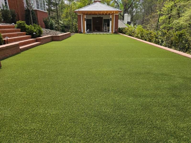 Black French bulldog puppy running on green grass in a yard with chairs in the background