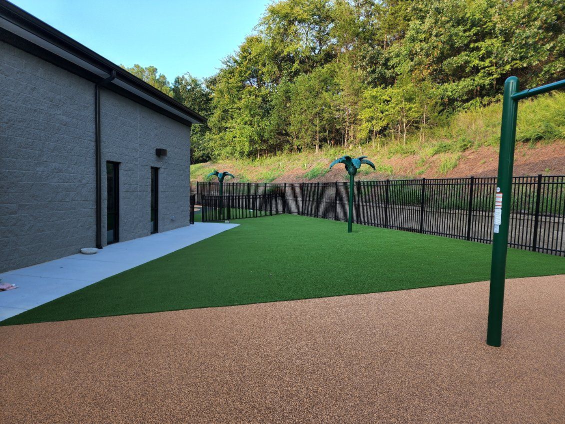 White field corner lines on green grass, with shadows across the turf.