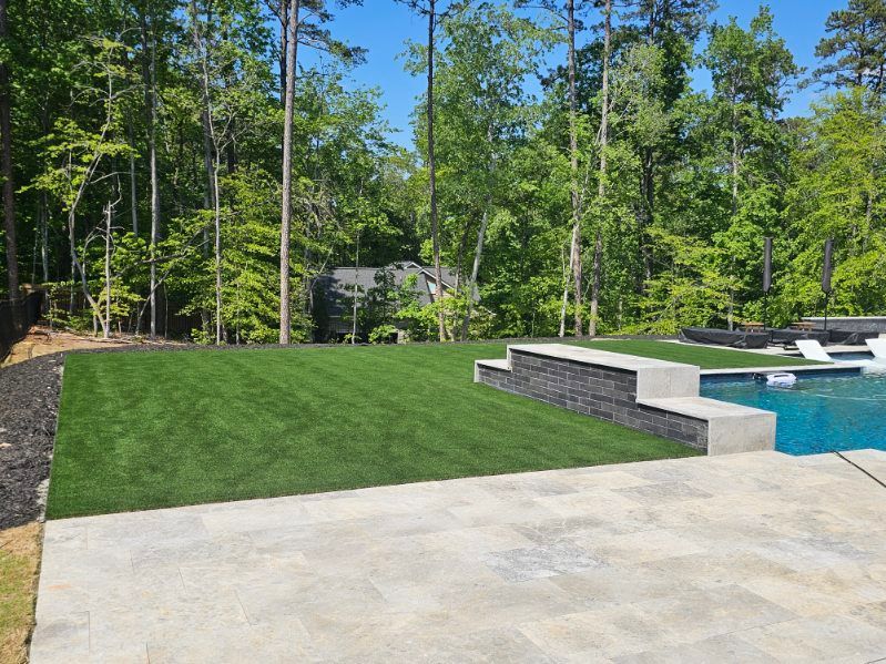 Lawn with green turf