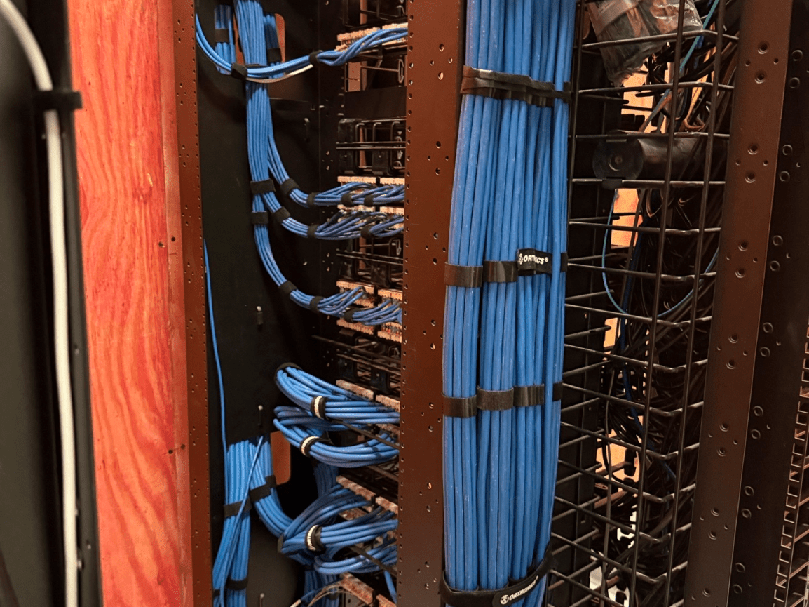 Rows of blue network cables routed through a server rack with black cable management panels.