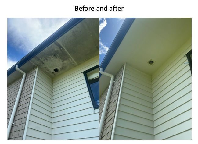 Before and after house washing Warkworth matakana rodney.