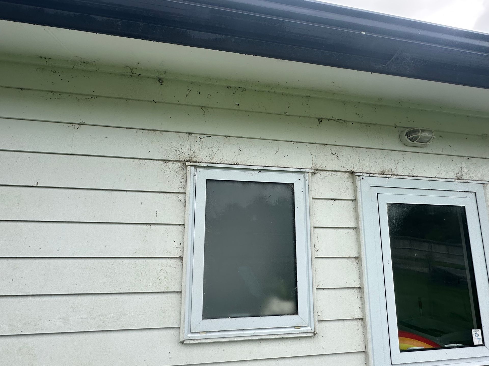 Spider webs on exterior house in Warkworth before treatment
