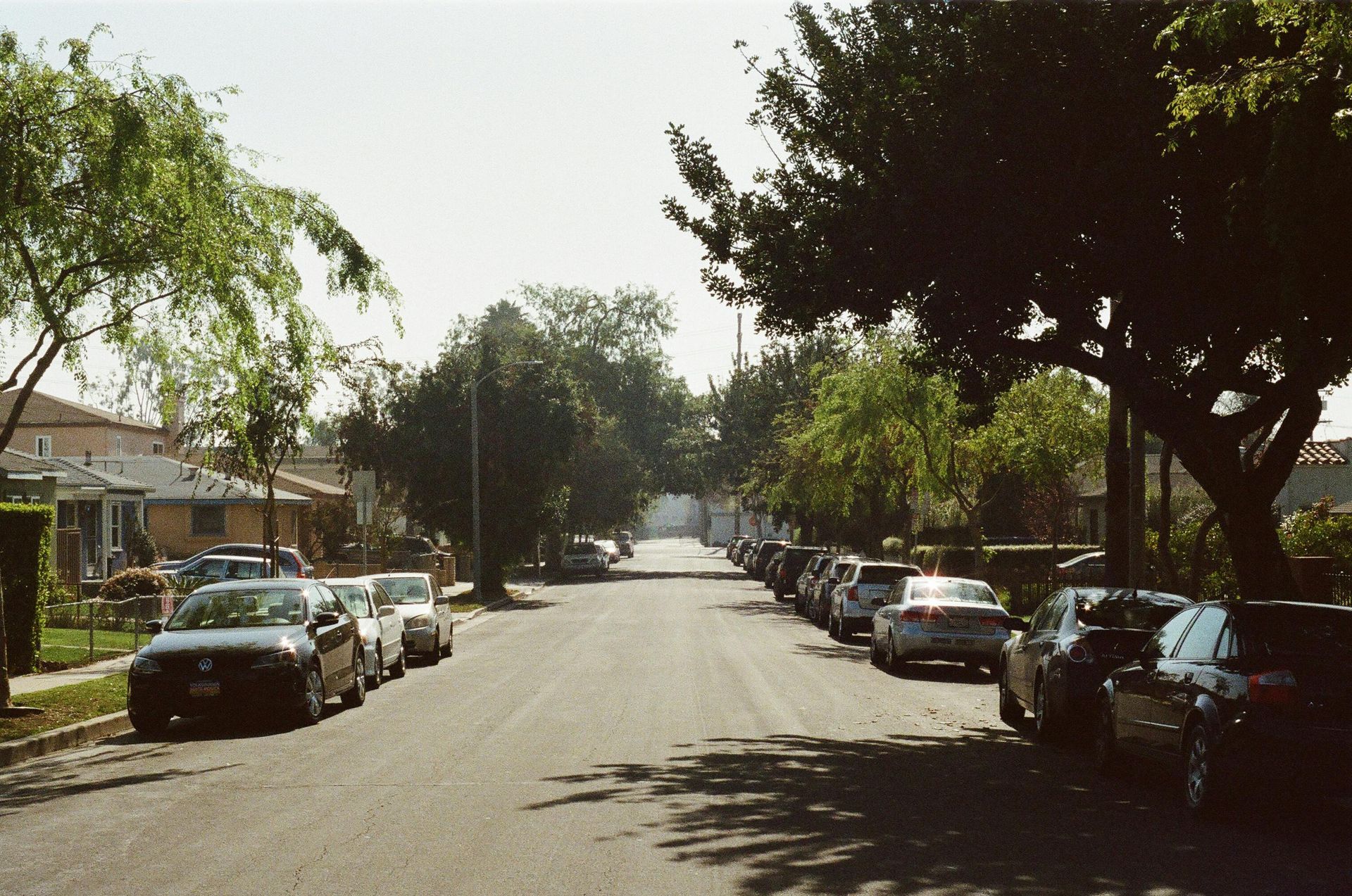 Sunlit residential street lined with parked cars and trees on both sides