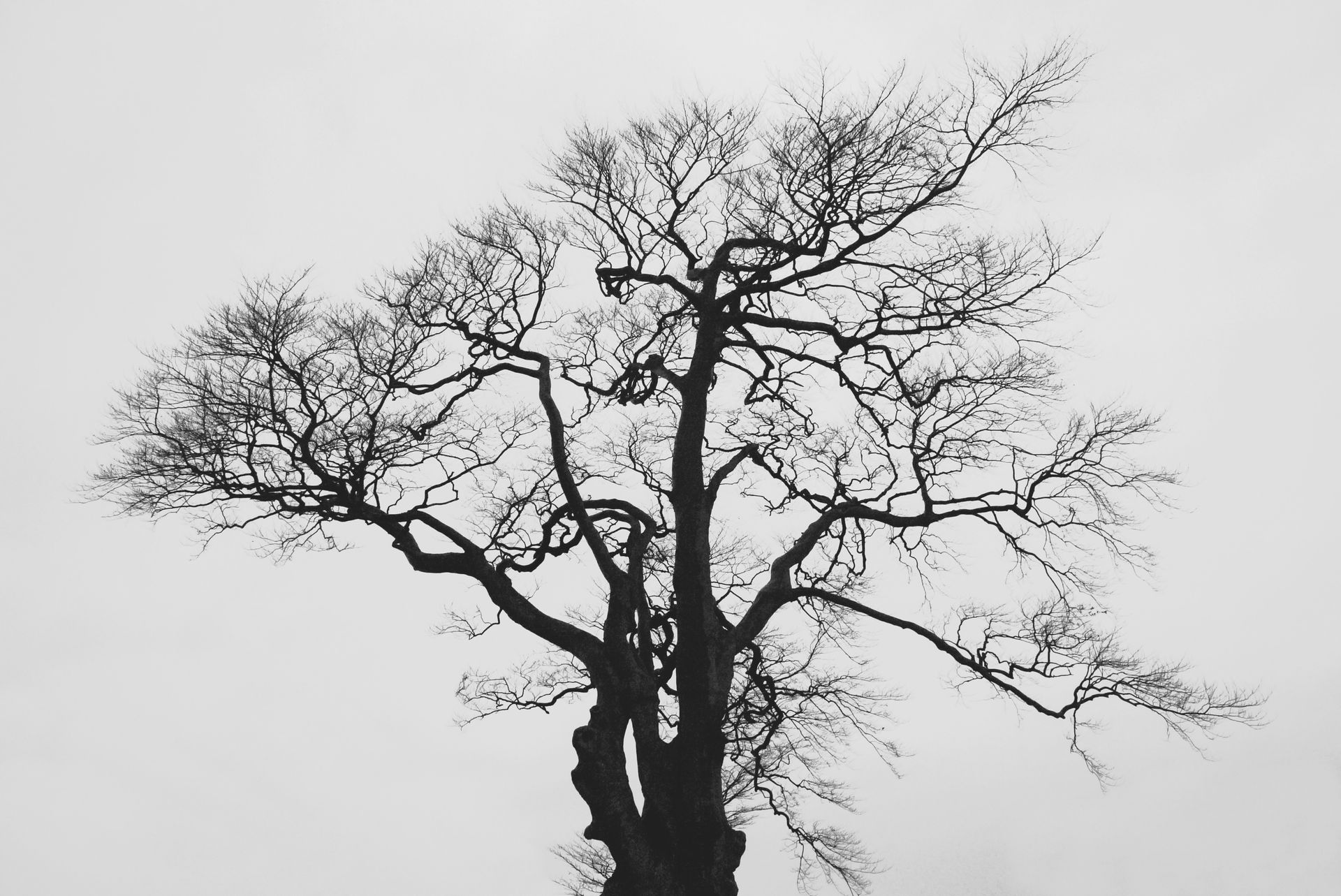 Nervous System Awareness