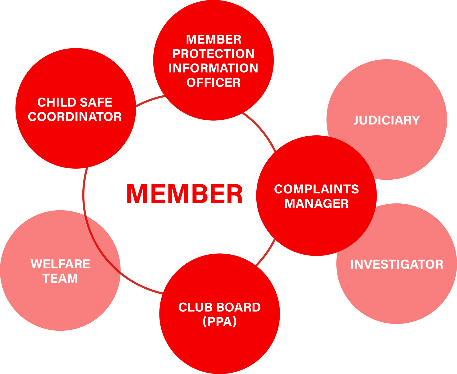 Organizational chart with MEMBER in center, linked to committee roles in red and pink circles.