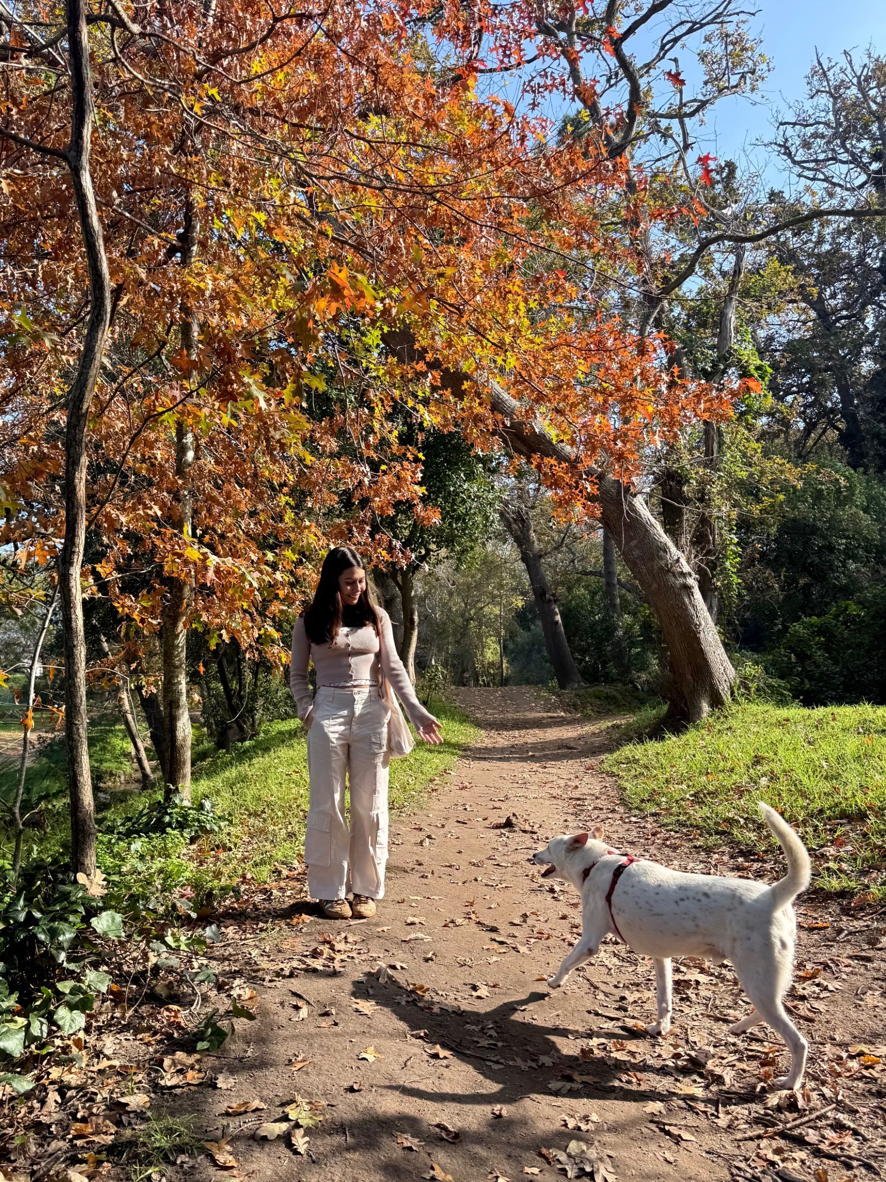 Paige walking the green belt near Chardonnay Deli High Constantia

