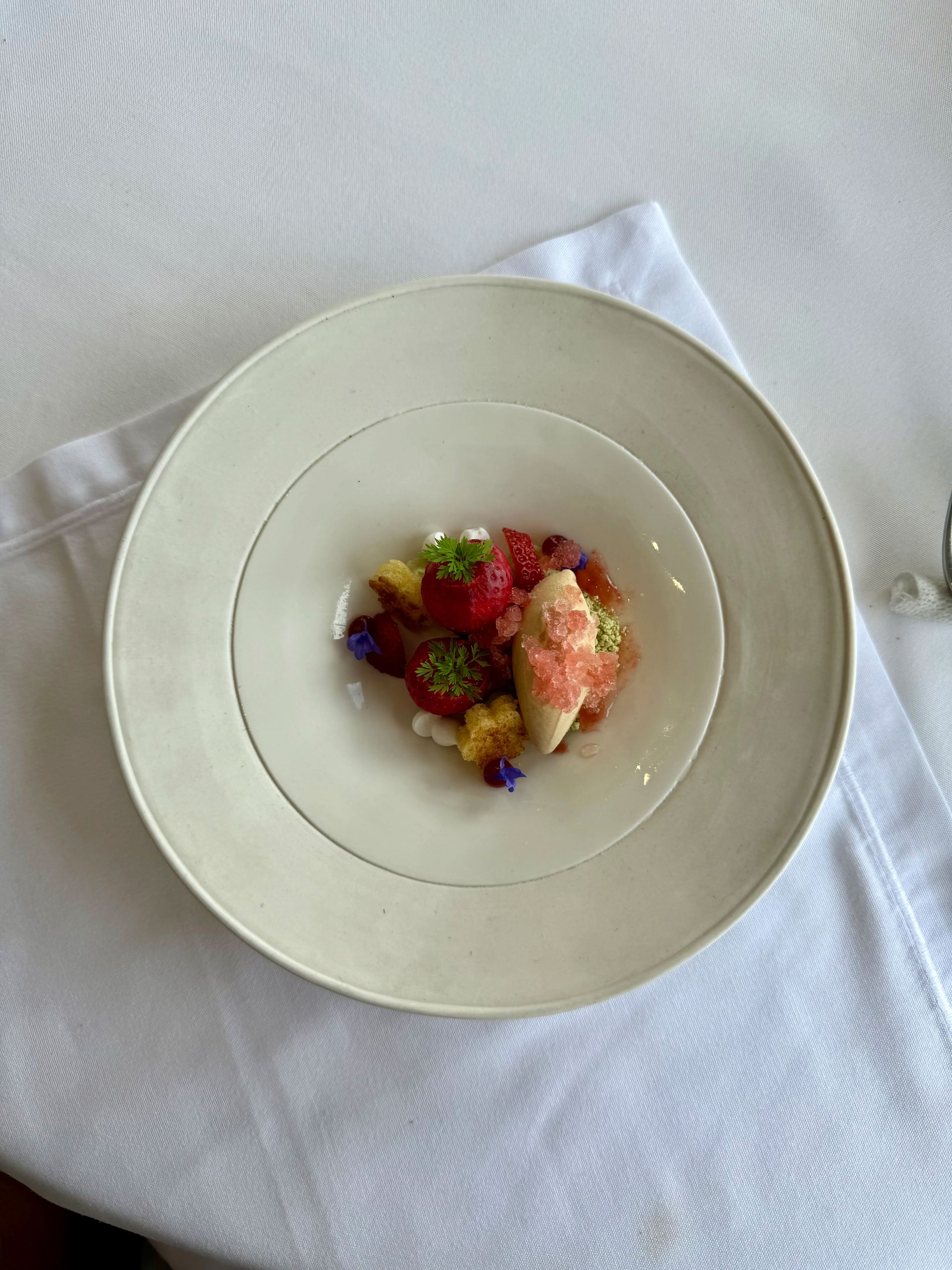 A colorful dessert in a white bowl on a white plate. Red berries, cream, and flowers.