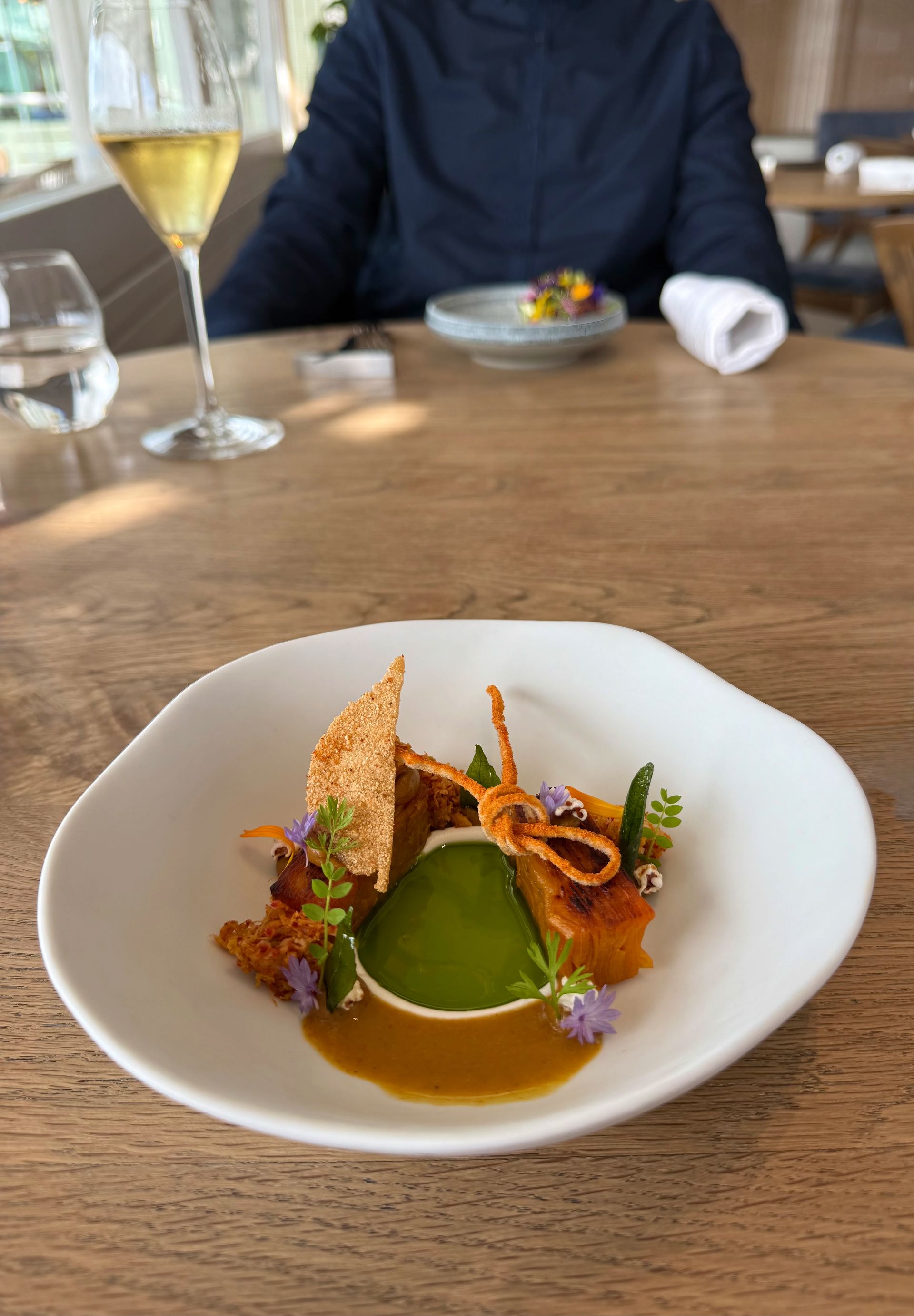 Close-up of gourmet dish on a white plate with sauce, topped with herbs. Person in blue jacket at table.